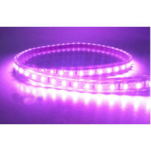 Impermeable 5050SMD Tira de luz LED flexible 60LEDs / M Color púrpura para árbol de Navidad Aprobaciones CE RoHS